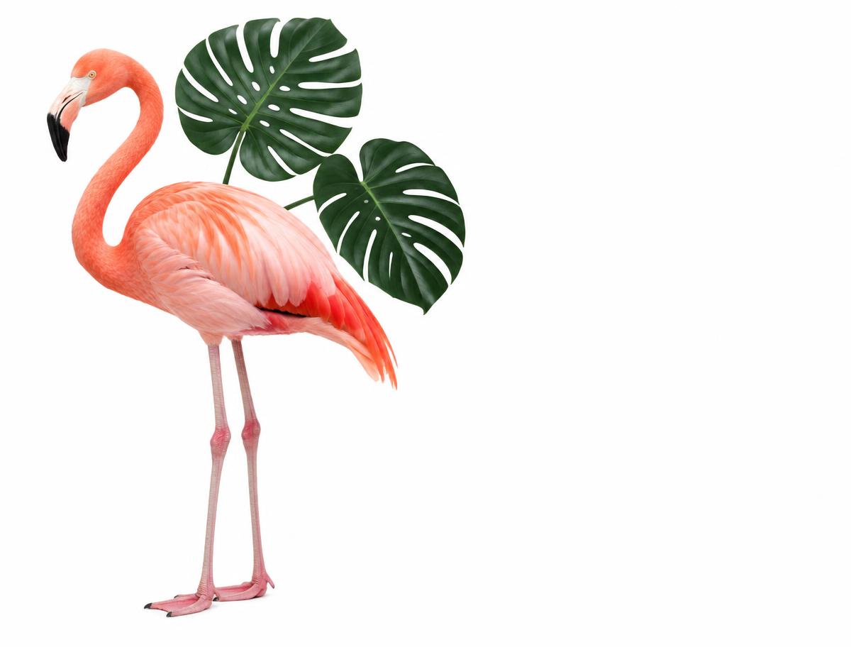 A coral-pink flamingo standing beside monstera leaves